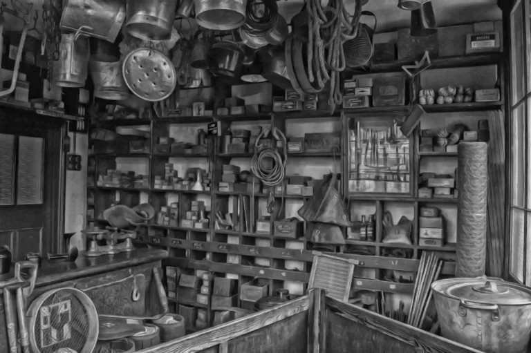 Bricolage dans le Sénonais : où aller selon votre projet
