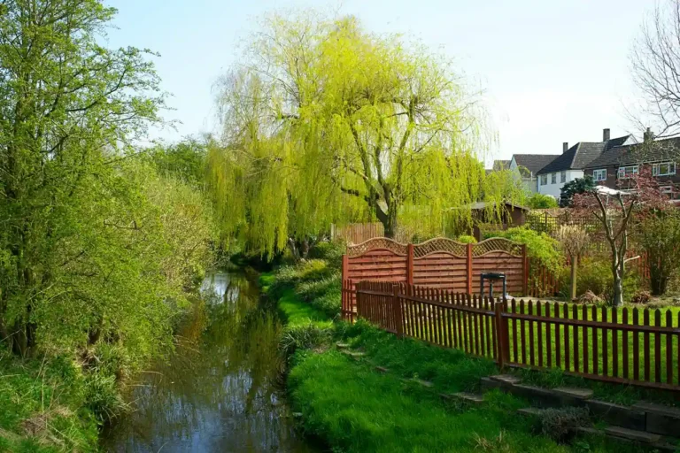 Clôture de jardin : comment choisir la bonne pour votre terrain