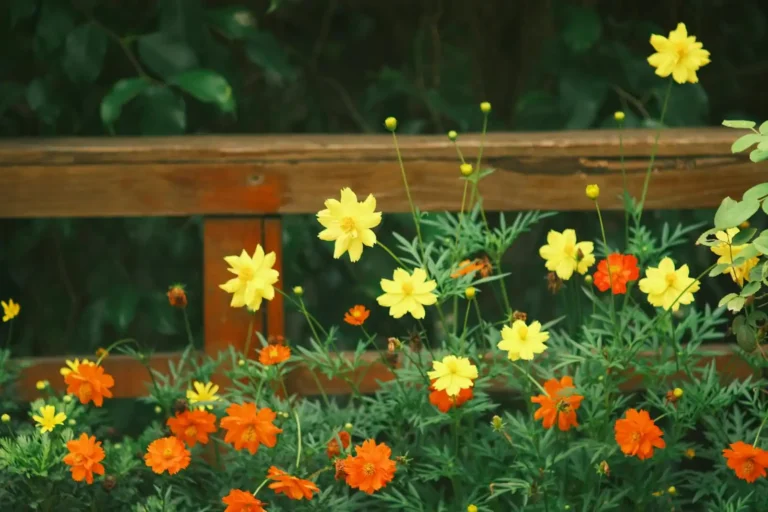 Idées pour aménager un jardin : méthode, budget et solutions concrètes