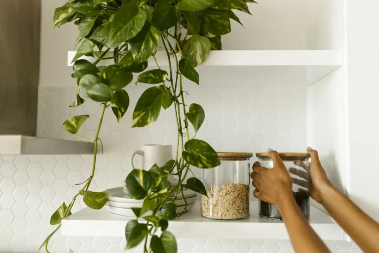 Meuble cuisine haut vitré : types de verre, dimensions et budget