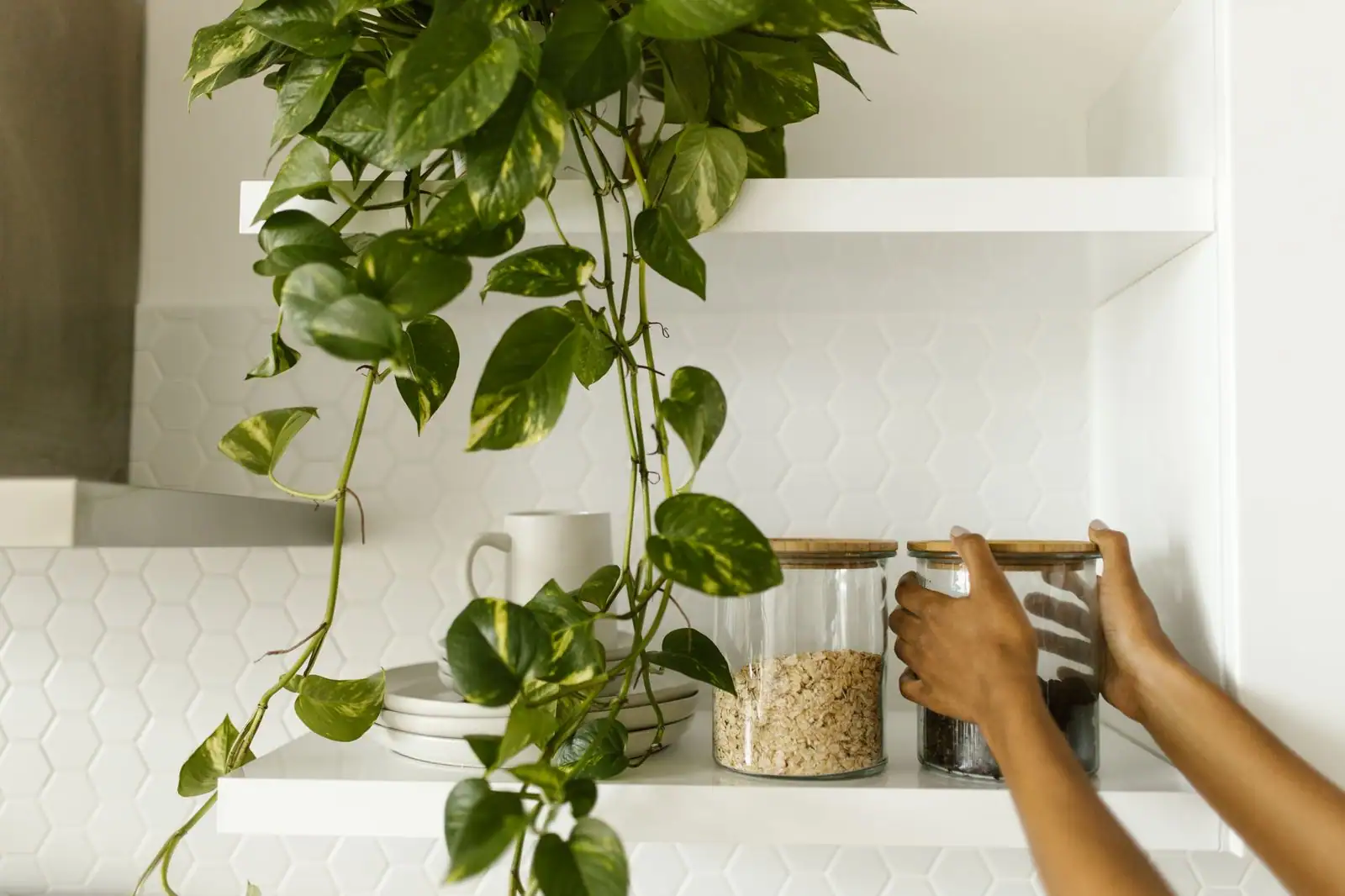 Meuble haut de cuisine vitré avec portes en verre cannelé et vaisselle blanche rangée