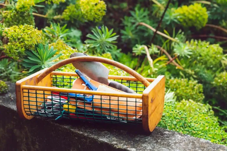 Outils de jardinage : ce qu&rsquo;il faut vraiment acheter selon votre jardin