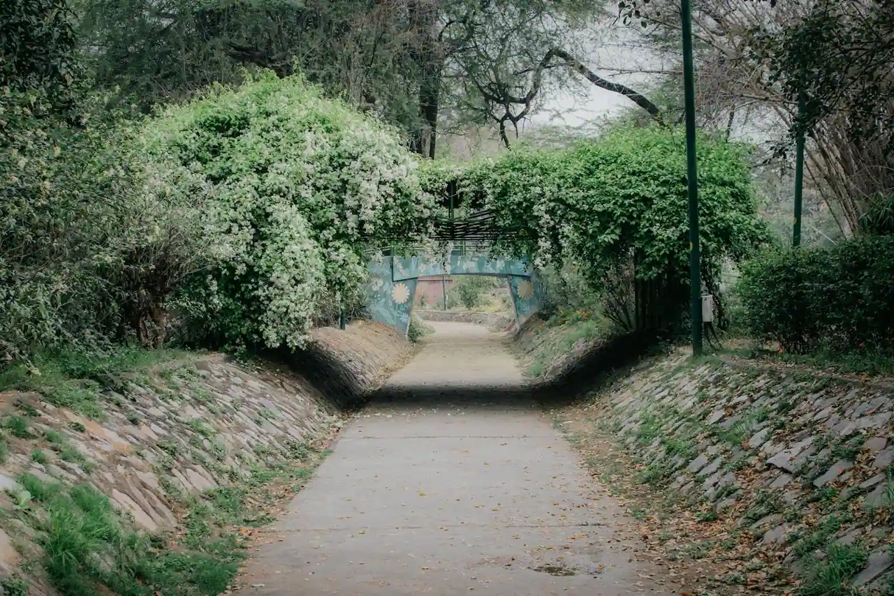 Allée pavée bordée de verdure et d'une arche fleurie dans un parc arboré