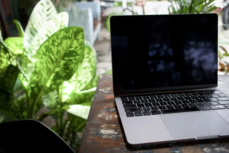 Aménager son jardin en 3D gratuitement : la méthode