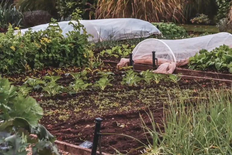 Le Jardin des Loups : la permaculture de Nouvelles Élégances près de Dieppe