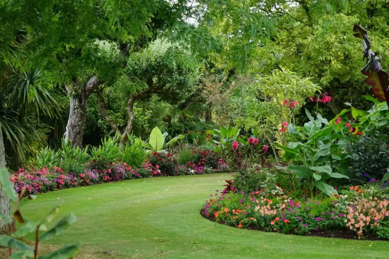 Jardin paysager : comprendre et concevoir un jardin composé