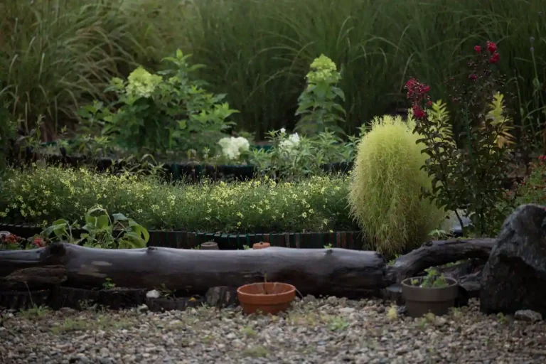 News jardin TV : où suivre le jardinage entre télé, replay et YouTube