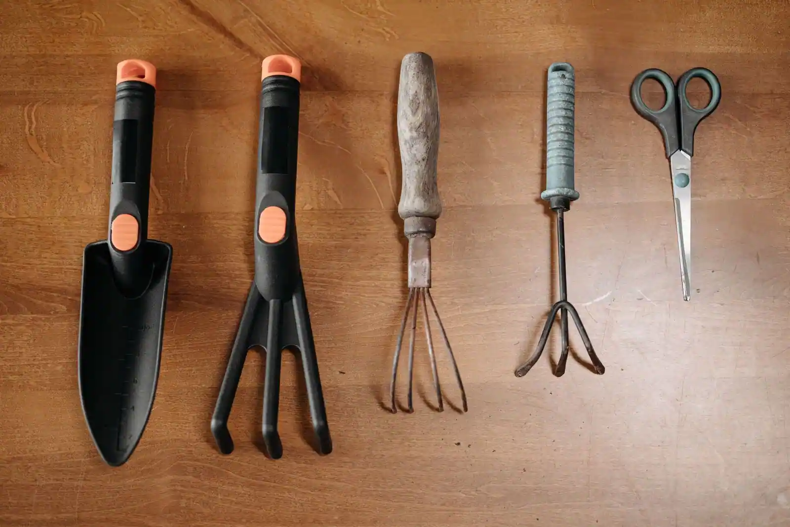Petits outils de jardinage à main — transplantoir, griffes et ciseaux — alignés sur une surface en bois.