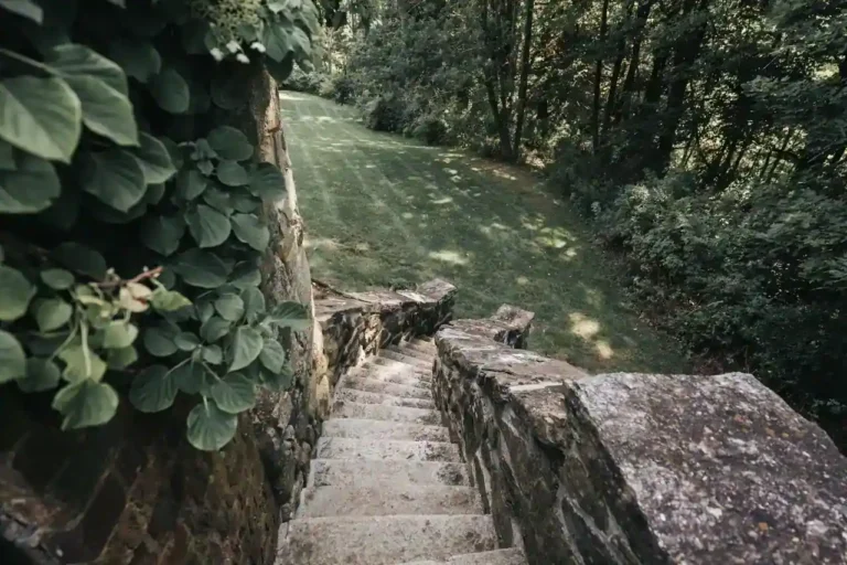 Aménager un jardin en pente sans terrassement : ce qui est possible