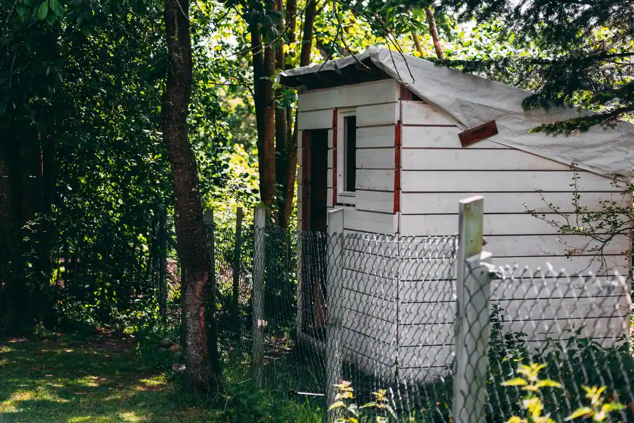 Petit abri de jardin en bois blanc, toiture encore protégée par une bâche, dans un jardin clos de grillage